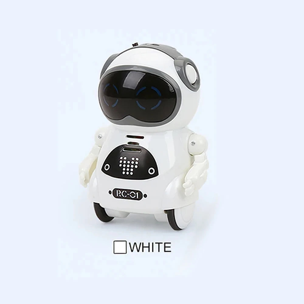 939A Children's Pocket Sized Interactive Robot With Voice Recognition