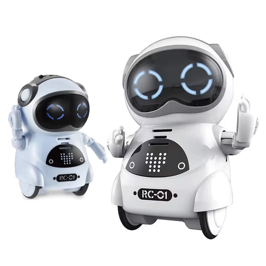 939A Children's Pocket Sized Interactive Robot With Voice Recognition