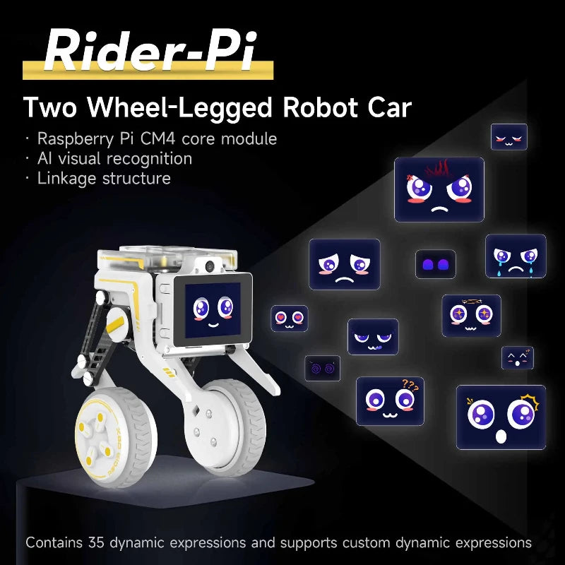 Rider-Pi Raspberry CM4 Bipedal Robot Car Two-Wheel Self-Balancing Vehicle