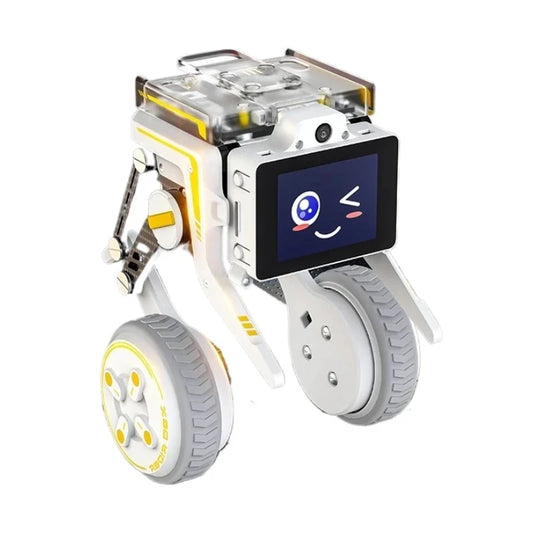 Rider-Pi Raspberry CM4 Bipedal Robot Car Two-Wheel Self-Balancing Vehicle