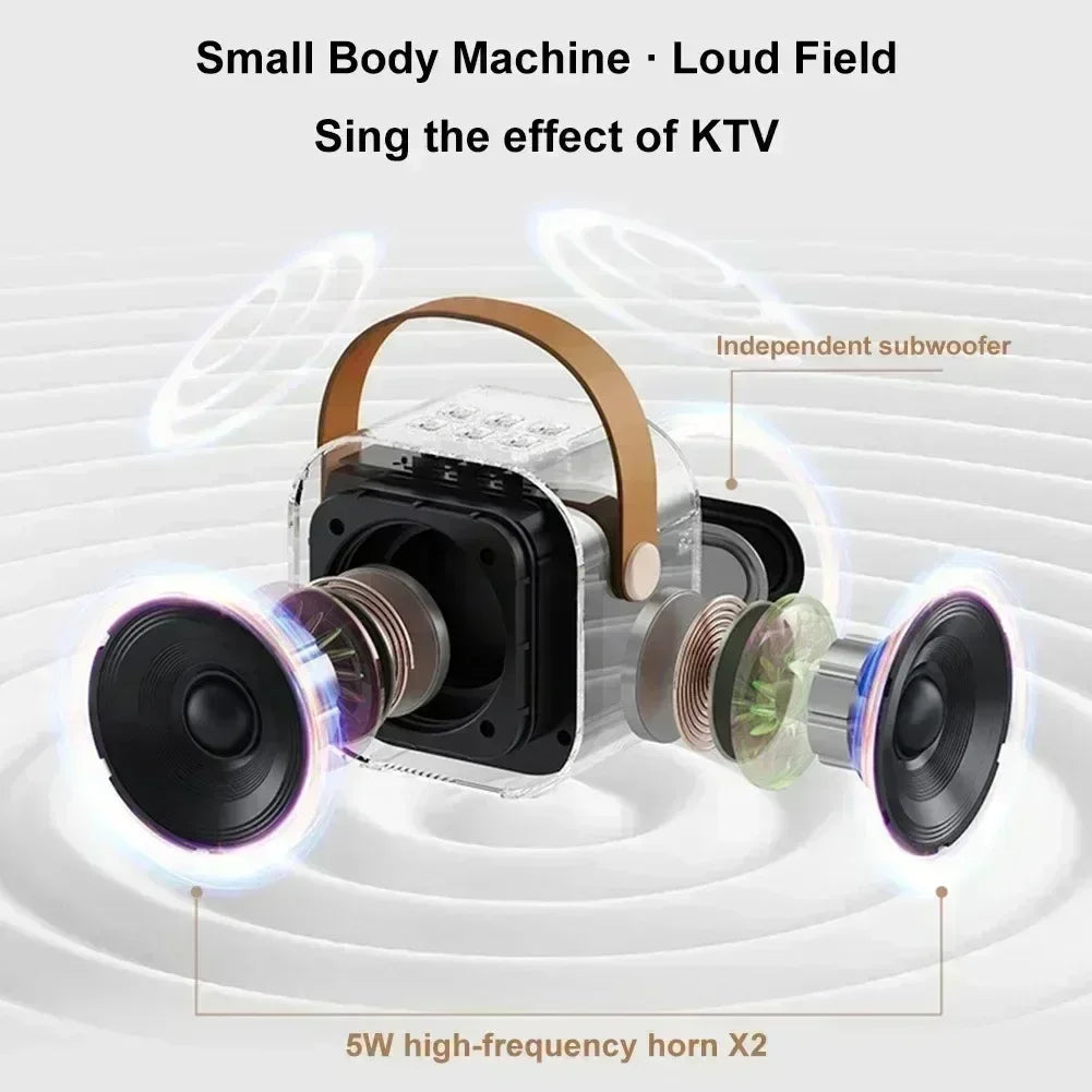 K12 Bluetooth Karaoke Speaker with Microphone Family Singing Machine